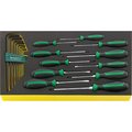 Stahlwille Tools DRALL+ set of screwdrivers i.TCS inlay No.TCS WT 4622-4650 -tray20-pcs. 96830122